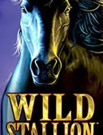 Wild Stallion