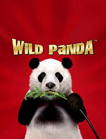 Wild Panda
