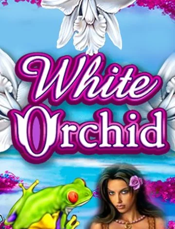 White Orchid
